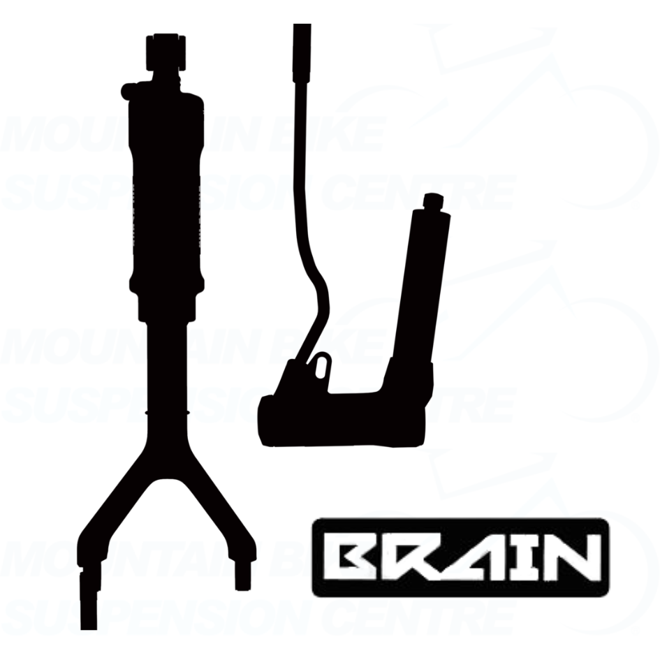 Rockshox brain discount rear shock